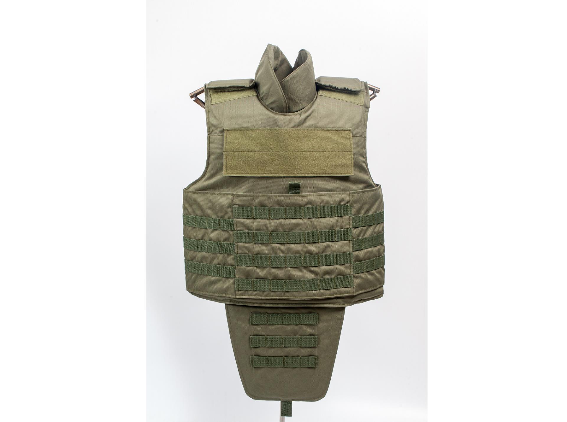 Body Armor_PROTECTION_新宝gg